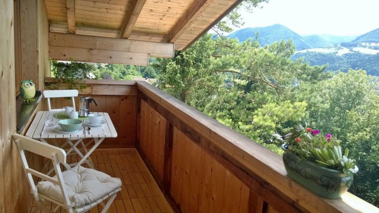 Appartement Kohlnberger Waidhofen an der Ybbs Exterior foto